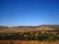 View Of A Dry Grassland Landscape