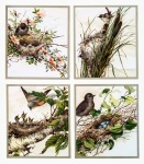 Birds Flowers Vintage Art