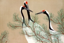 Birds Cranes Vintage Art