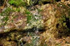 Water Dripping Down Rock