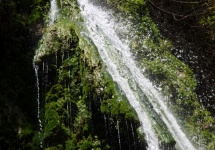 Water Stream Spilling Over Moss