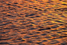 Waves Water Sunset