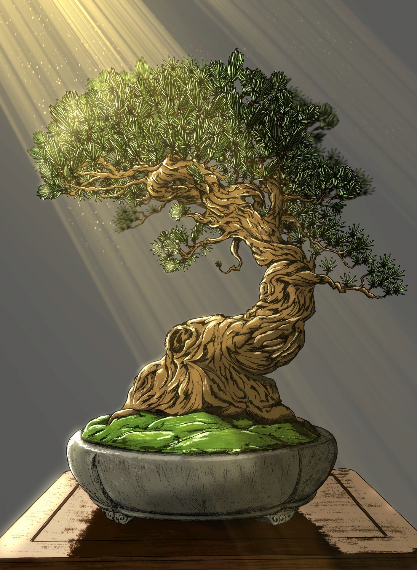 Hand drawing a bonsai tree
