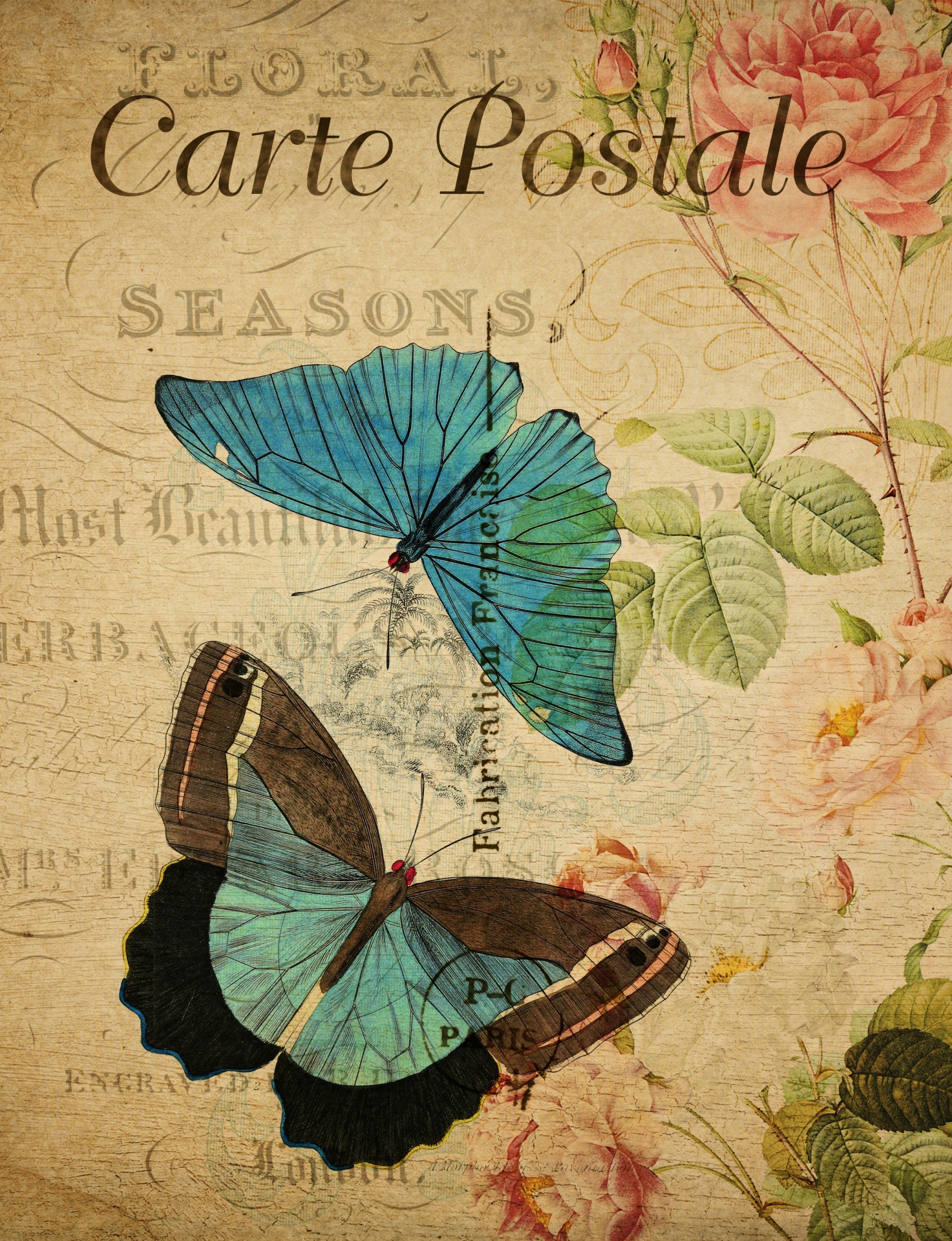 Butterflies Vintage Floral Postcard