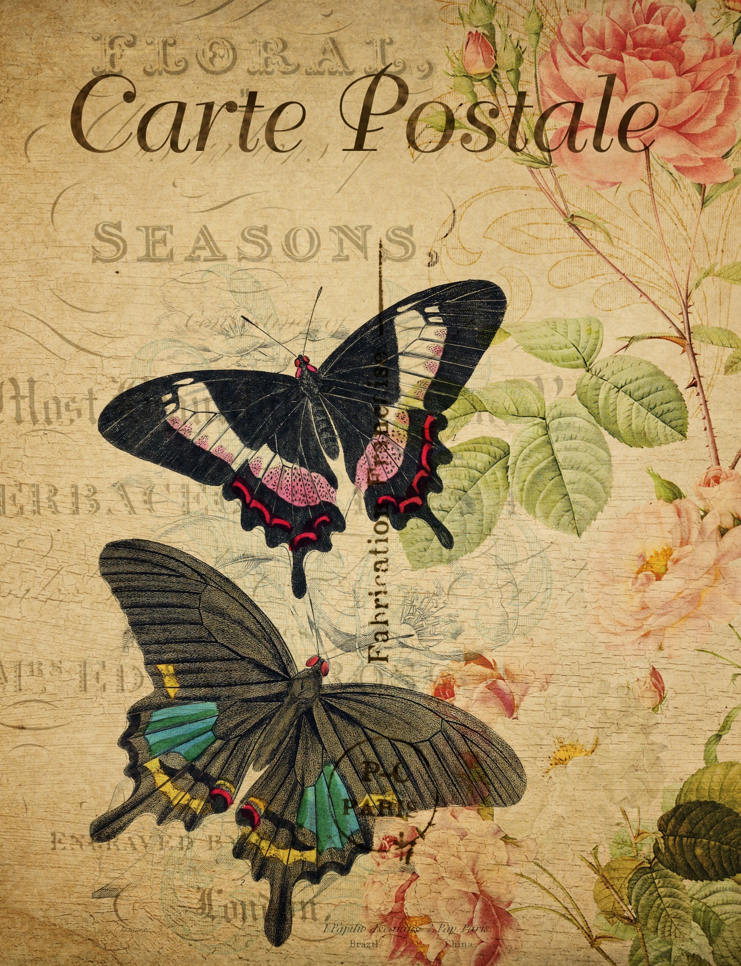 Butterfly Vintage Floral Postcard