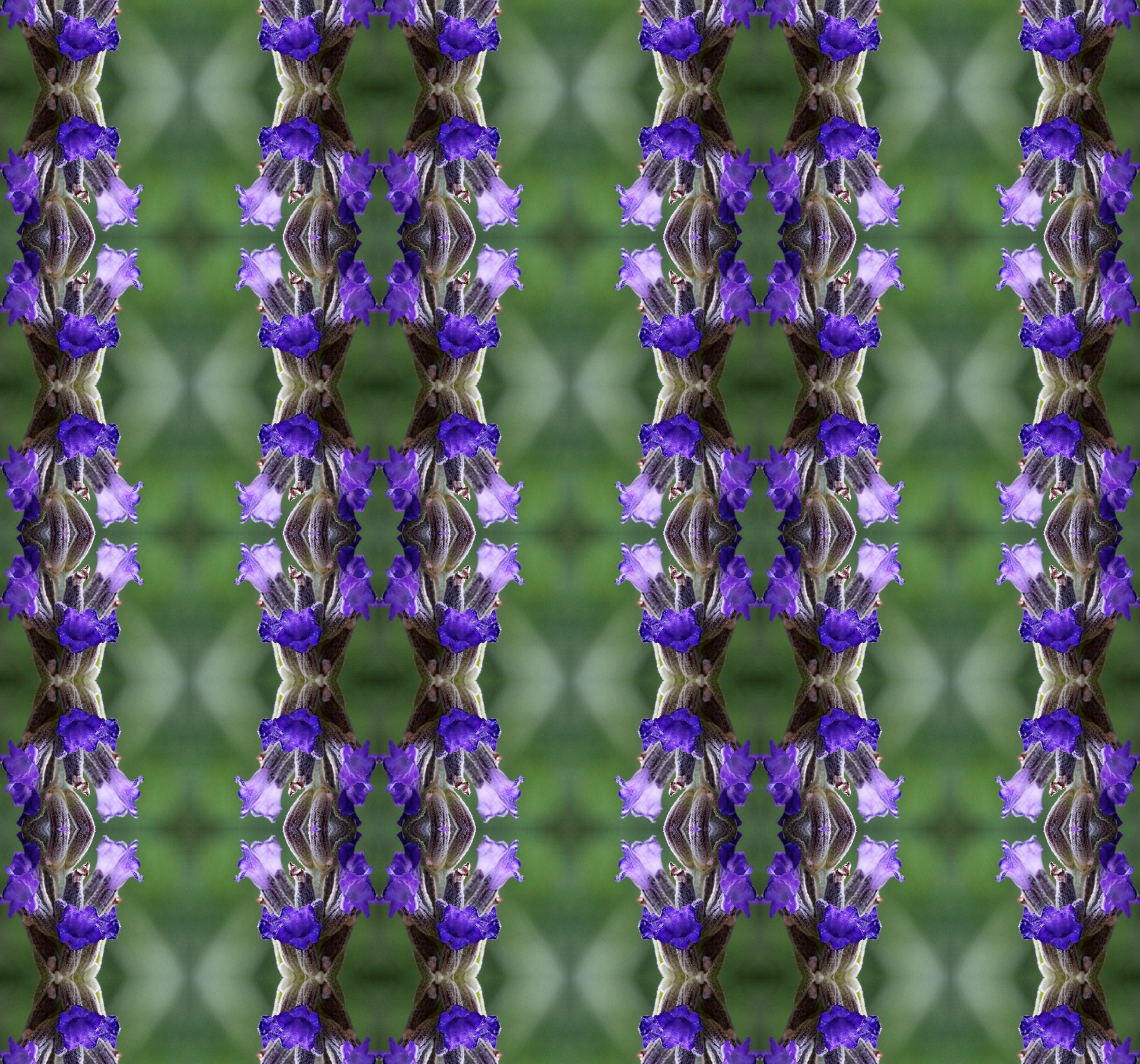 Decorative Pattern With Lavender