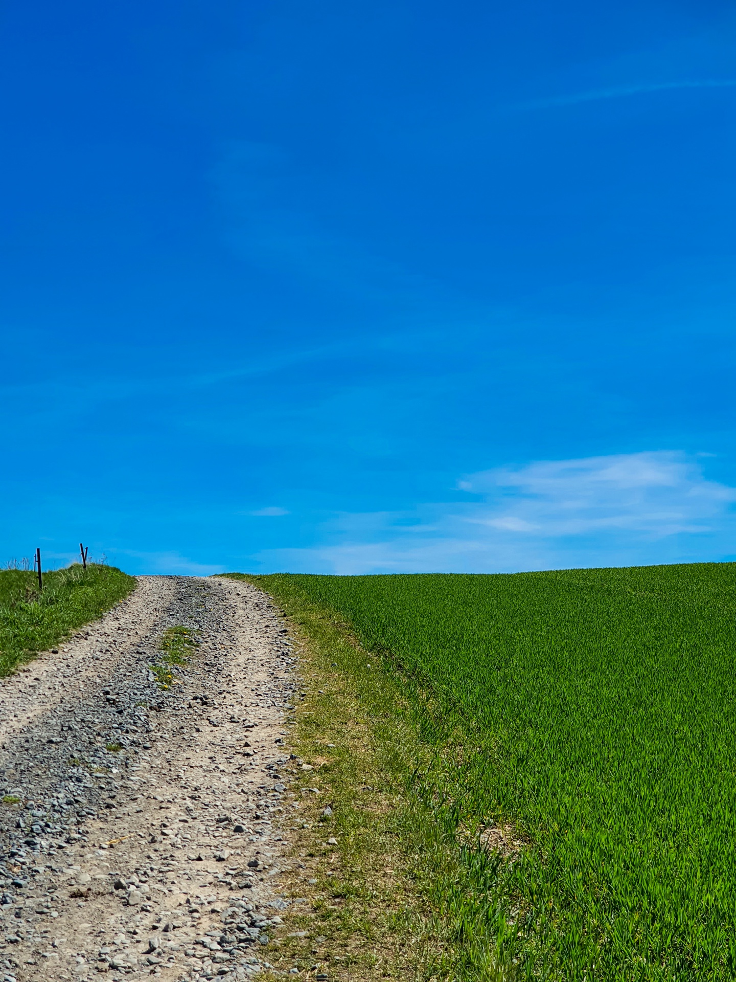 Dirt path, green grass and blue sky background