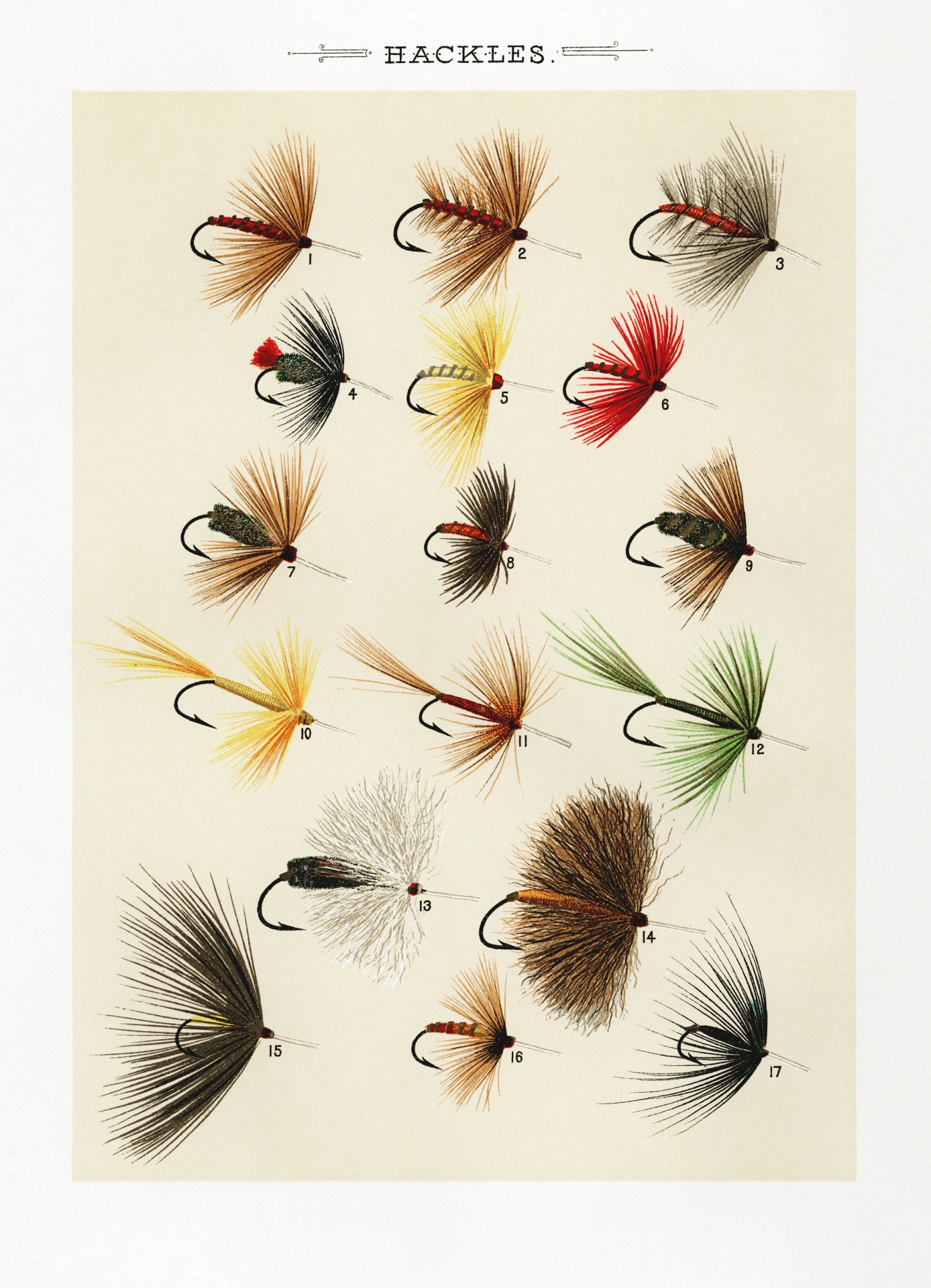 Fly fishing bait for trout salmon fish old illustration colored examples of bait flies picture restored spots removed