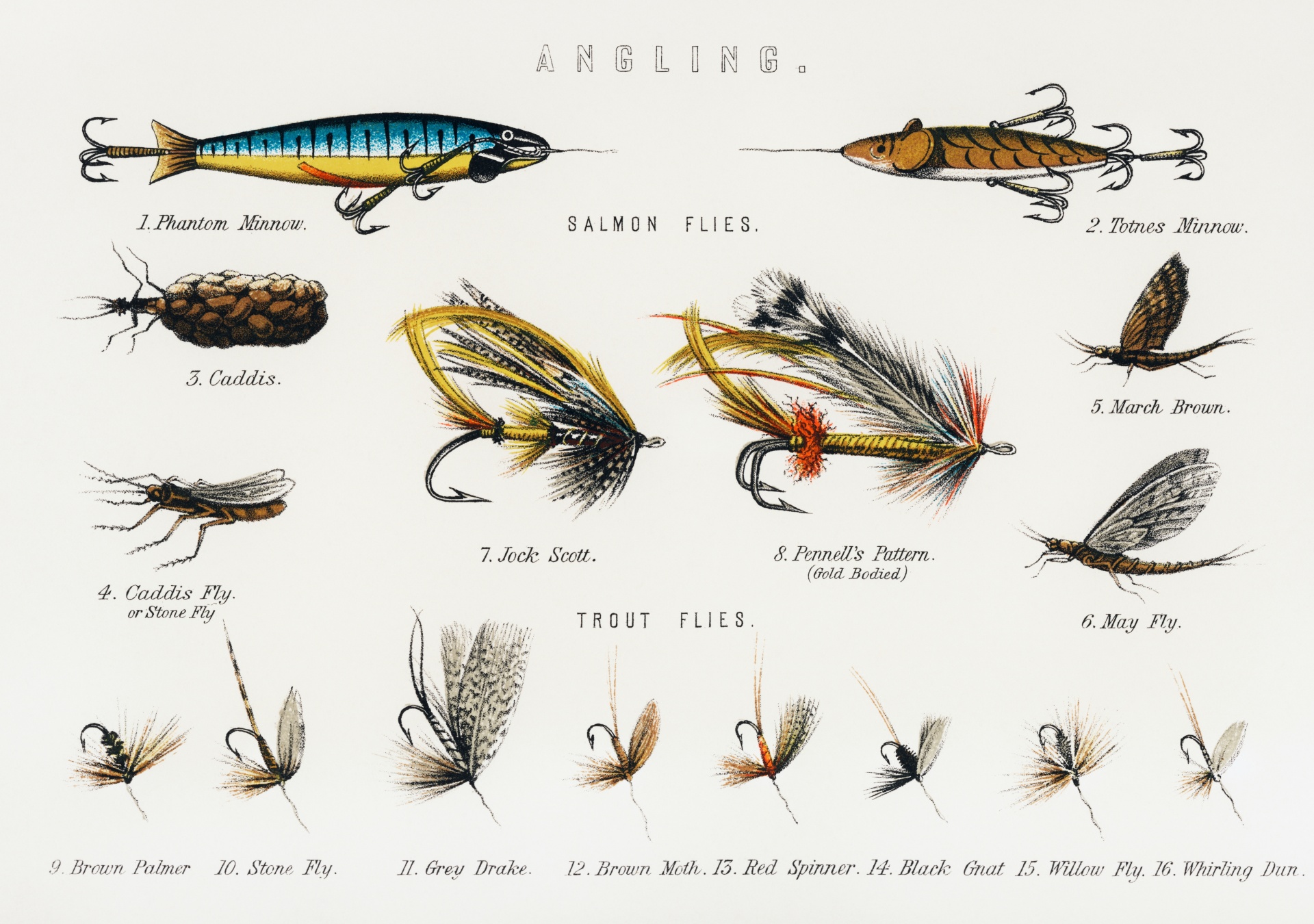 Fly Fishing Lure Fishing Print