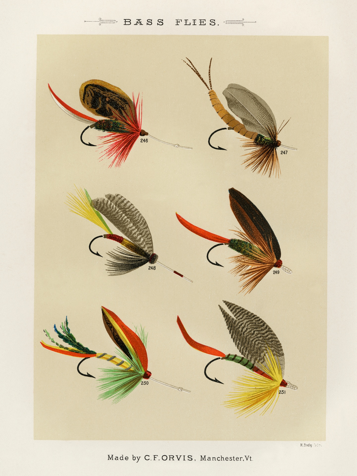 Fly fishing bait for trout salmon fish old illustration colored examples of bait flies picture restored spots removed