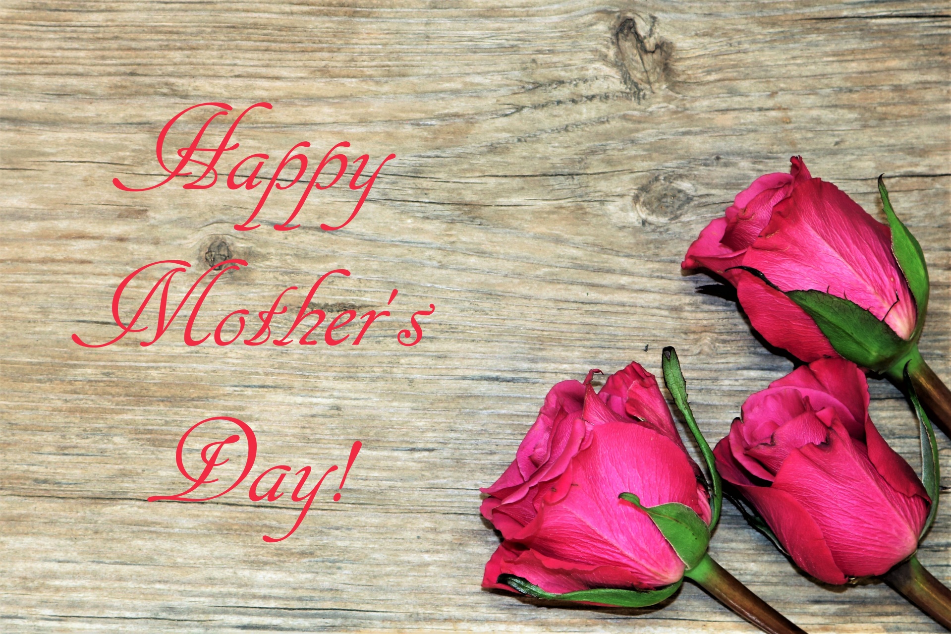 Happy Mother's Day Pink Roses 2