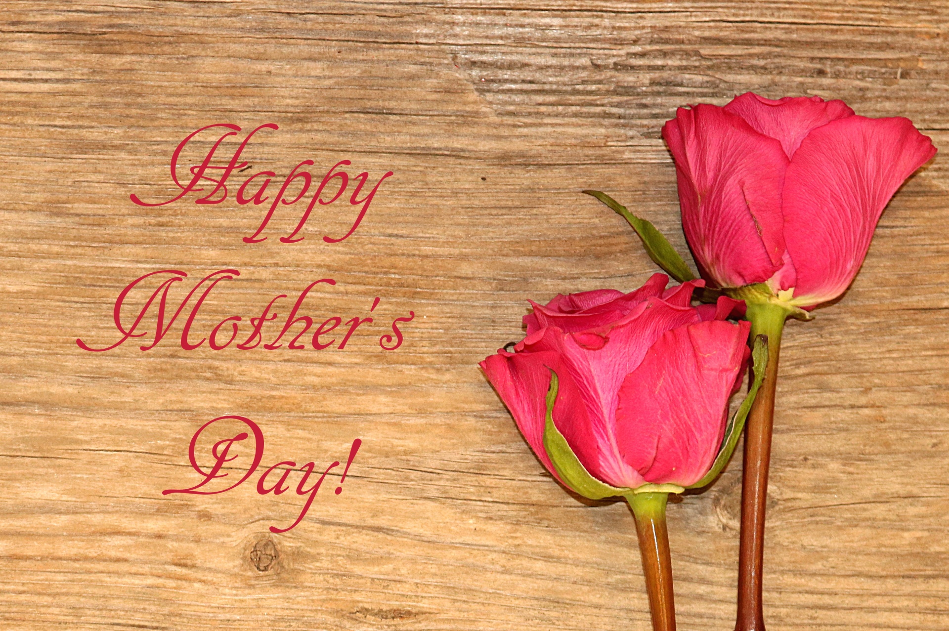 Happy Mother's Day Pink Roses
