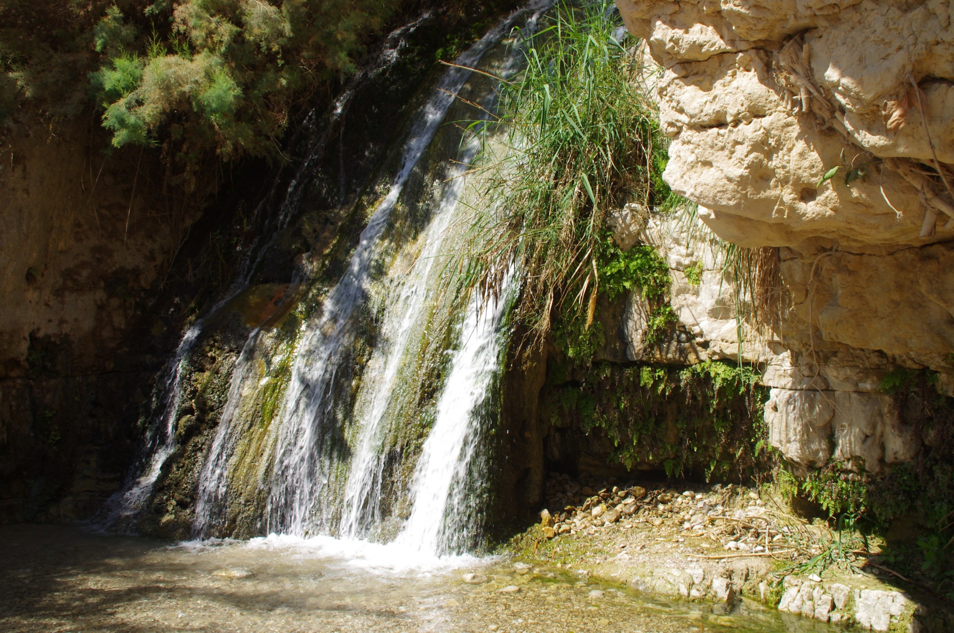 Hidden Waterfall In Oasis