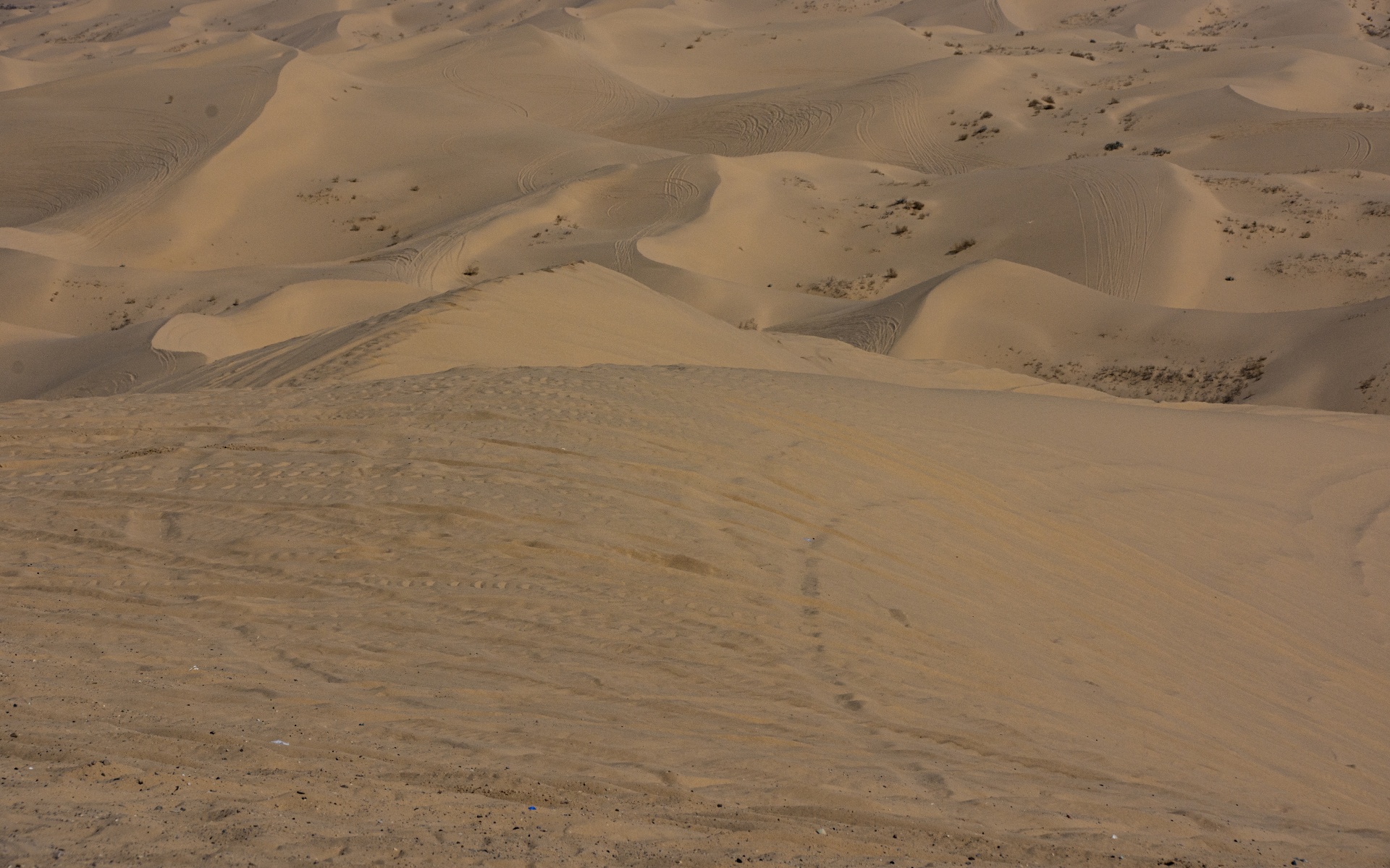 the dune buggy territory of imperial sand dunes, california