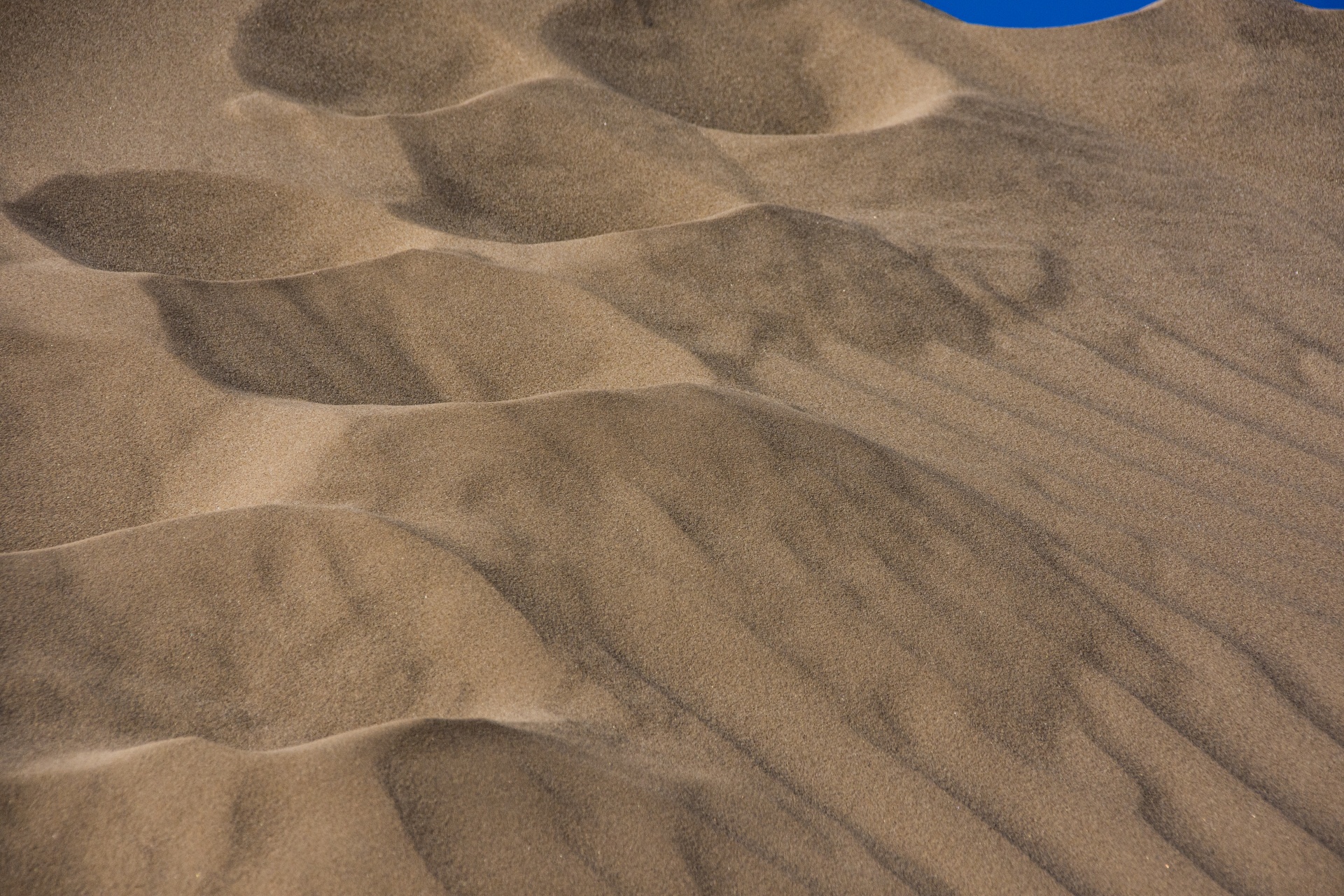 the dune buggy territory of imperial sand dunes, california