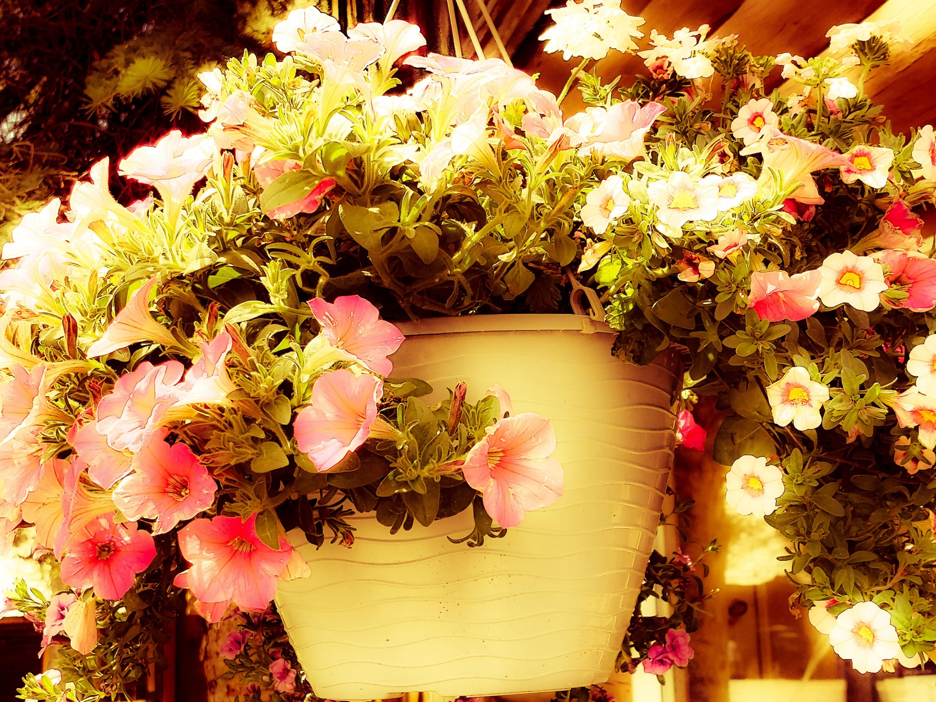 Hanging Flower Basket
