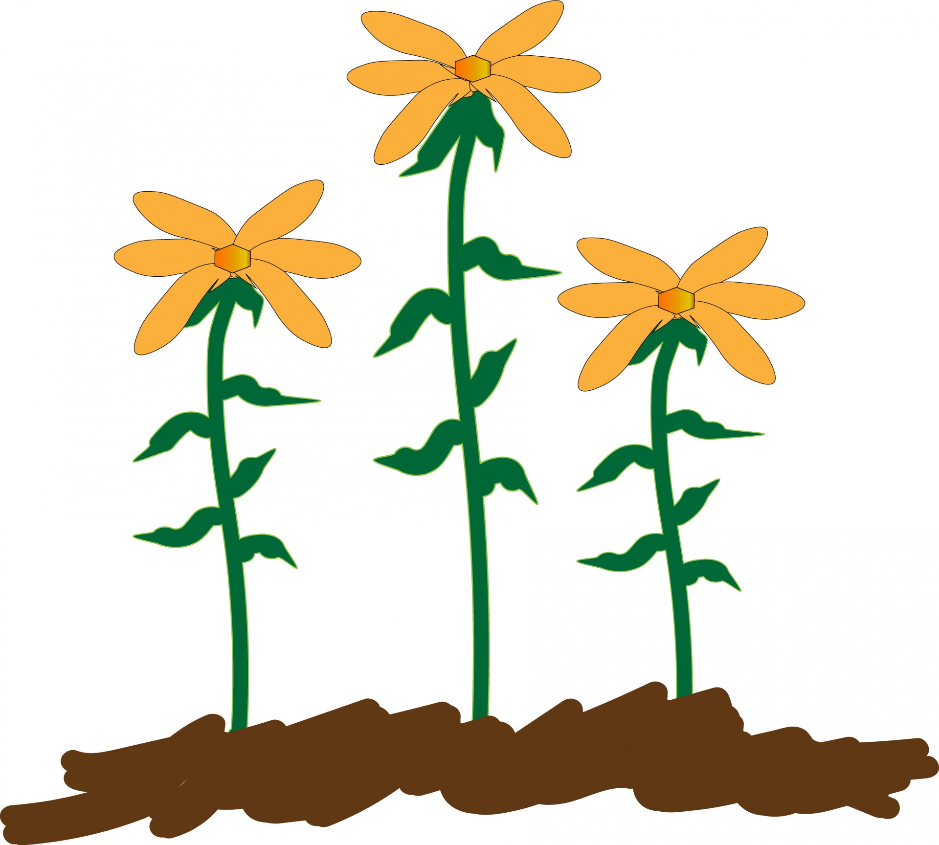 Three Sunflowers Illustration