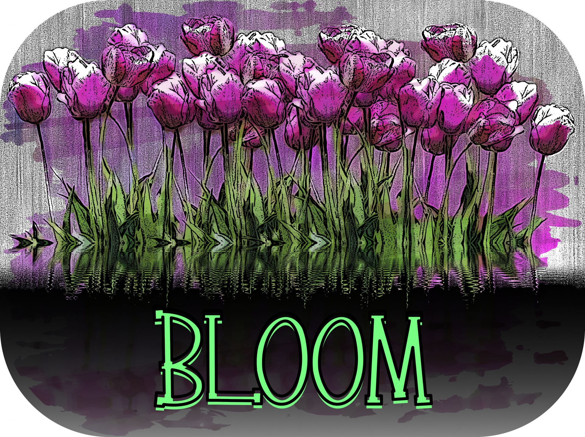 beautiful garden of purple tulips with word BLOOM