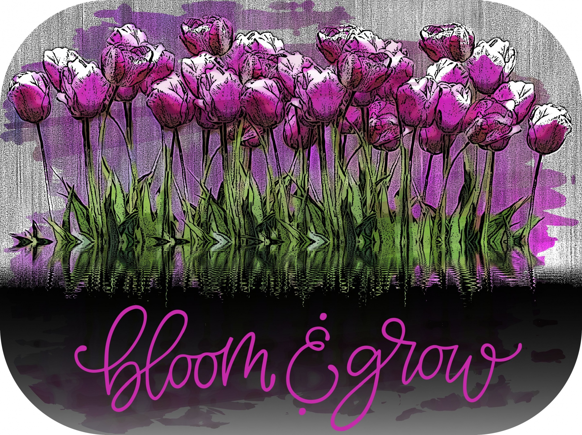 beautiful garden of purple tulips with words BLOOM and grow