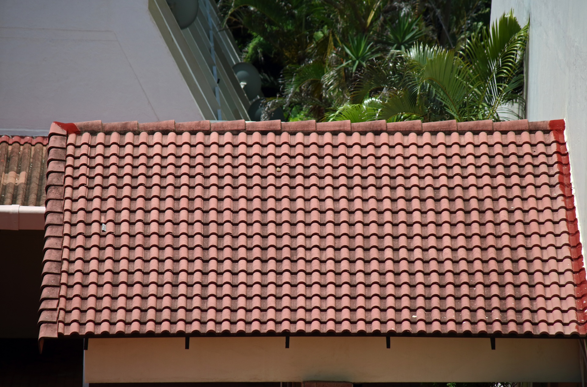 roof covered with red terracotta tiles and subtropical vegetation