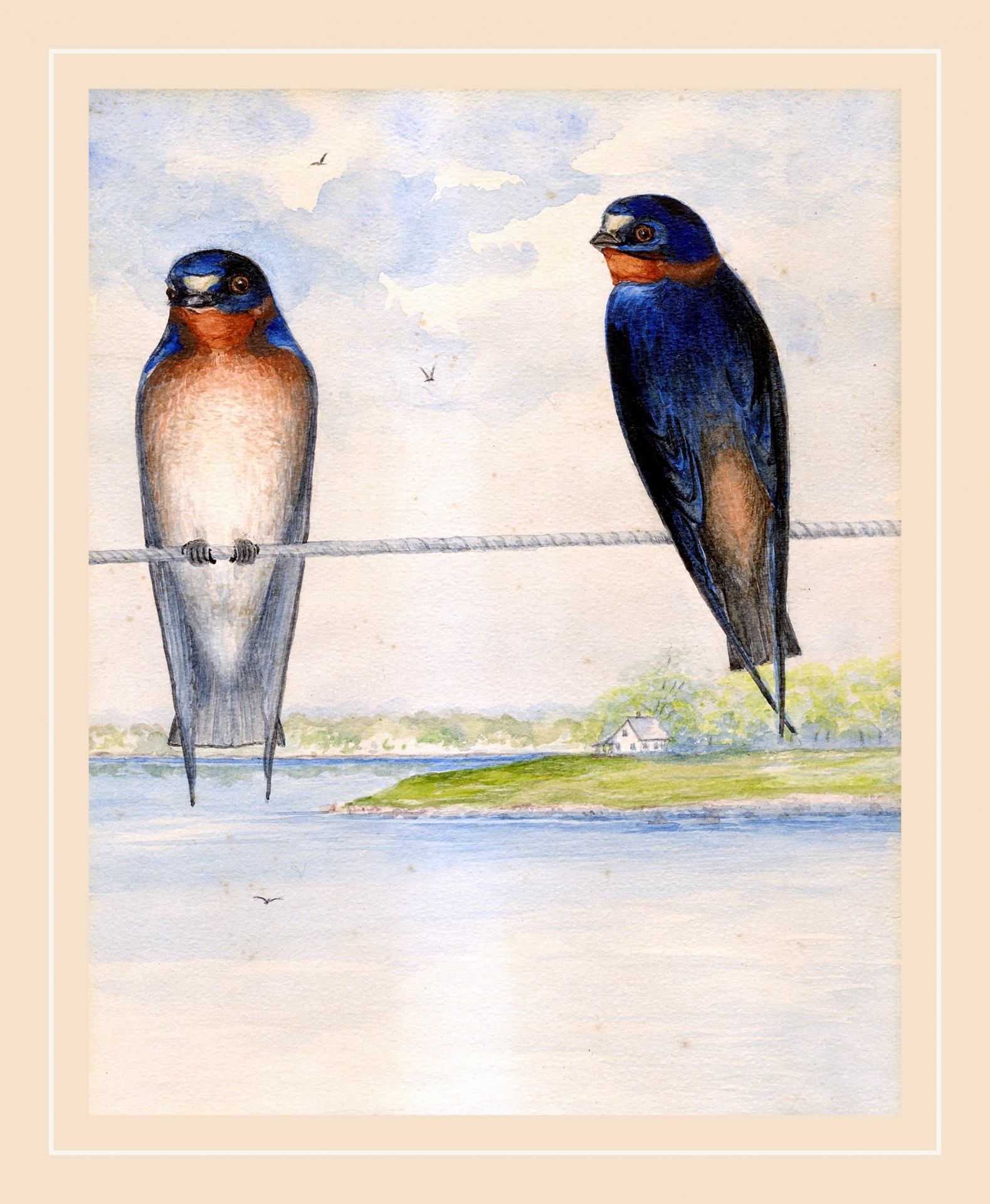 Swallows Birds Vintage Art