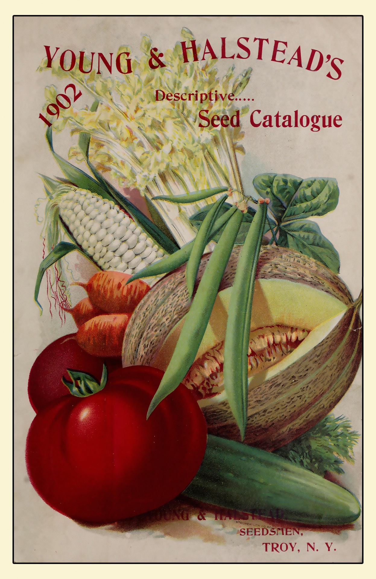 Antique seed catalogue for 1902 with colorful art painting of various varieties of vegetables