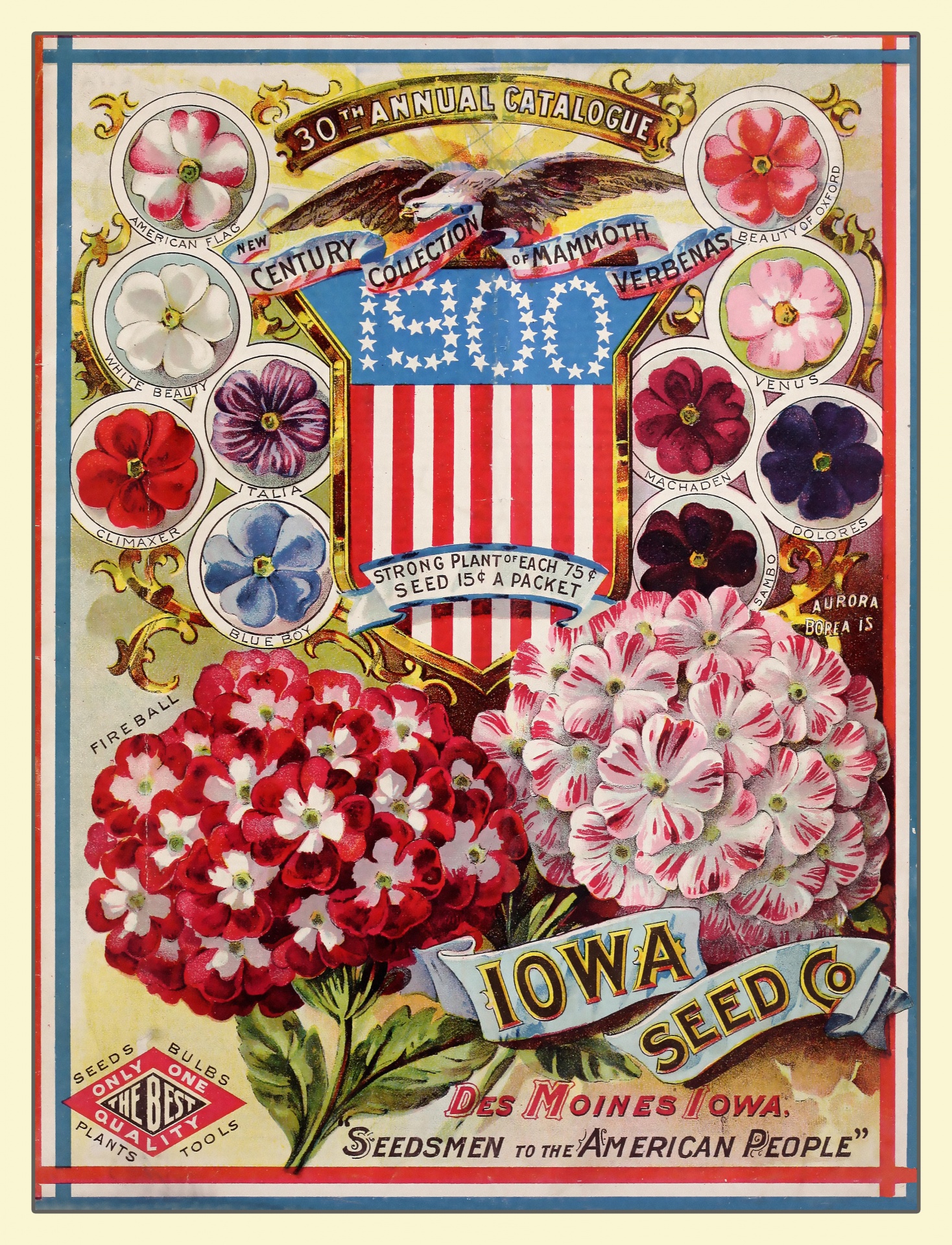 Antique seed catalogue for 1900s with colorful art painting of flowers in red, white and blue with american flag