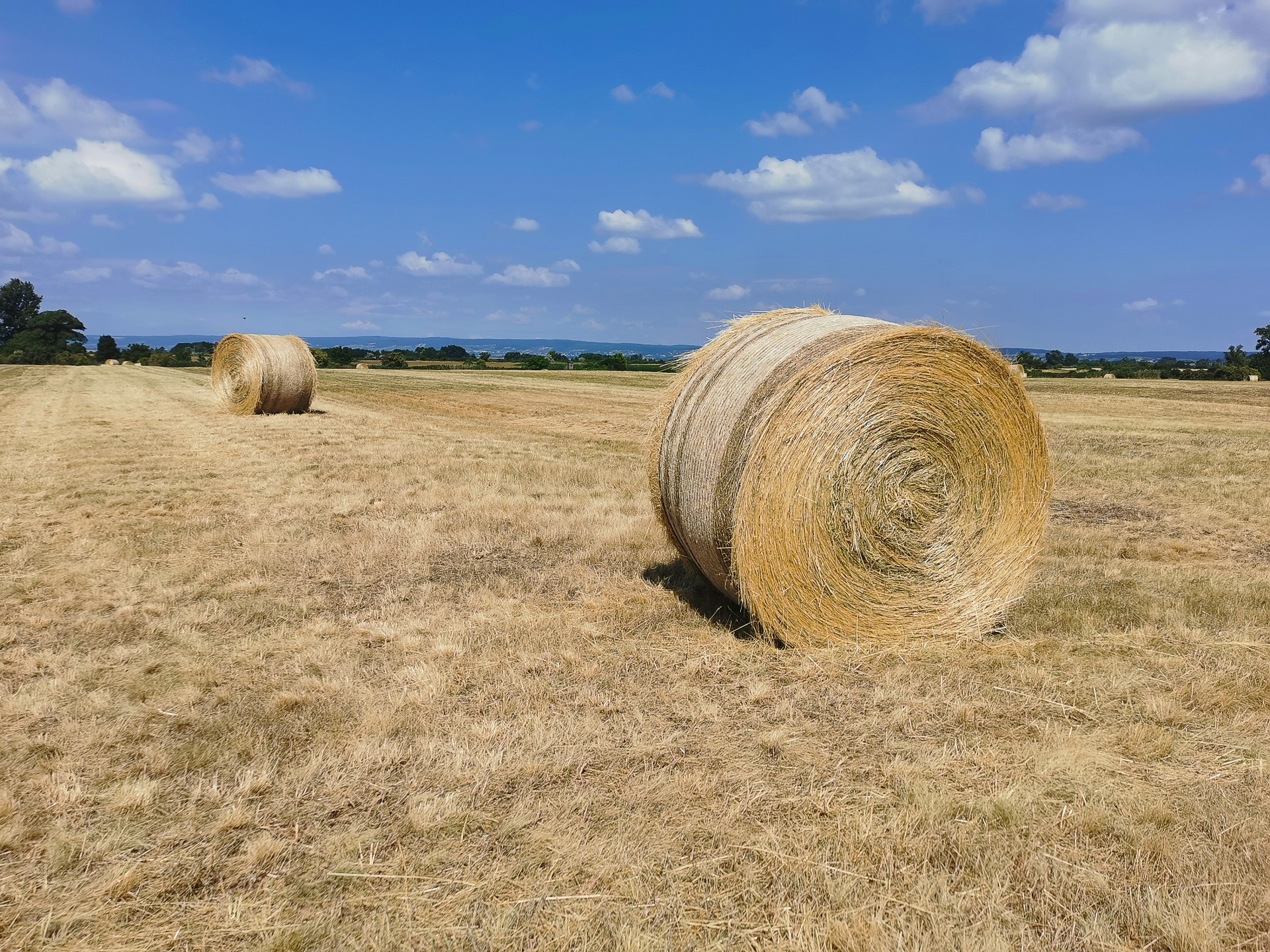 Bales Of Straw On The Field