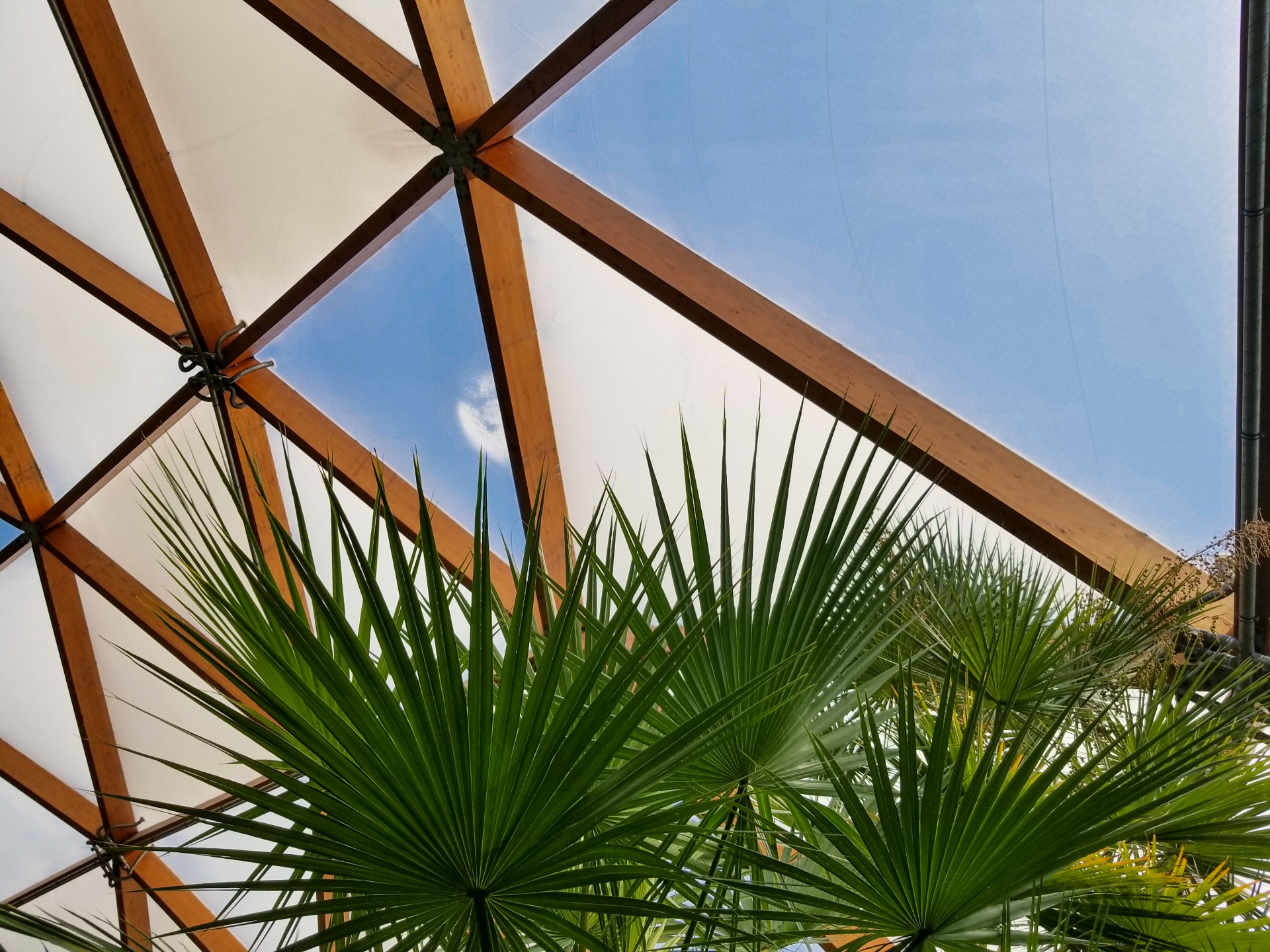 Tropical Greenhouse Roof