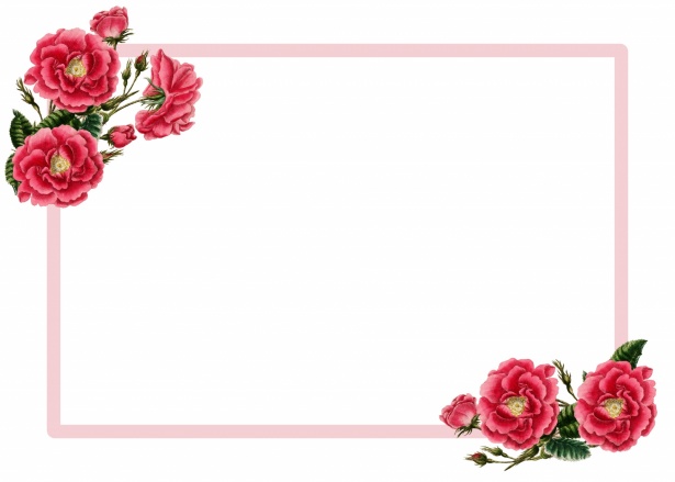 Tarjeta de invitación floral de rosas Stock de Foto gratis - Public Domain  Pictures