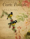 Birds Vintage Painting Postcard
