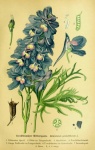Flower Blue Vintage Art