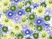 Flowers Background Pattern
