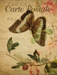 Butterfly Caterpillar Old Postcard