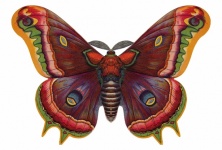 Butterfly Vintage Art