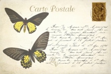 Butterfly Vintage Art Postcard