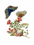 Butterfly Vintage Watercolor Art