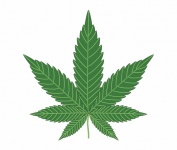 Cannabis Plant Leaf Clipart