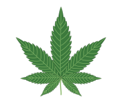 Cannabis Plant Leaf Clipart