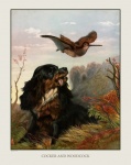 Dog And Bird Vintage Painting