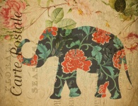Elephant Floral Pattern Postcard