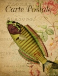Fish Vintage Painting Postcard
