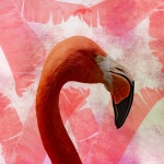 Flamingo Portrait Art