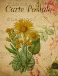 Flowers Vintage Art Postcard