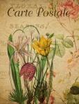 Flowers Vintage Art Postcard