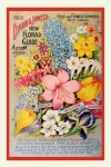 Flowers Vintage Seed Catalogue