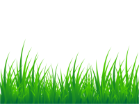 Grass Background Clipart