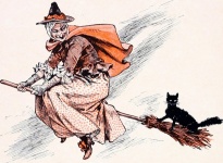 Halloween Witch Broom Cat