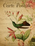 Hummingbird Vintage Floral Postcard