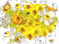 Flower Digital Illustration